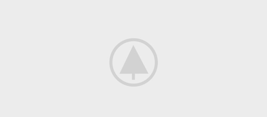 wood-gallery-placeholder-5 wood-gallery-placeholder-5